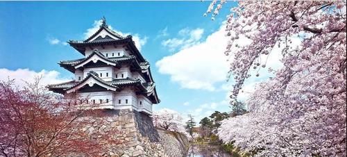 申请日本大学留学指南（成功进入日本大学的关键步骤和注意事项）