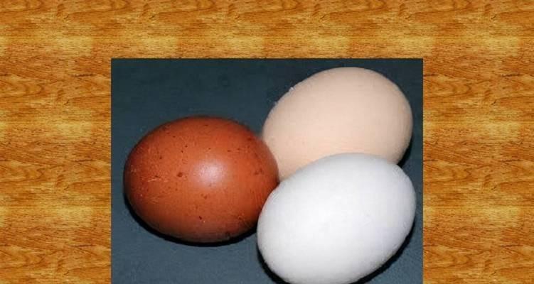 如何准确识别土鸡蛋的好坏（快速分辨真假土鸡蛋，轻松购买健康食品）