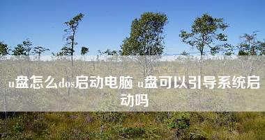 U盘DOS启动盘无法启动的原因及解决方法（分析U盘DOS启动盘无法启动的常见问题和解决方案）