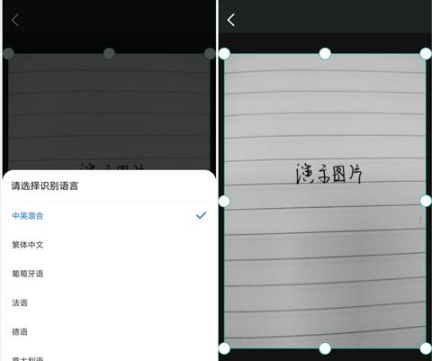 文本提取技术在信息处理中的应用与挑战（提取和文本分类是关键）