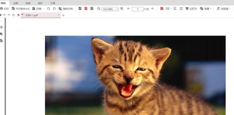 探讨图片格式转换工具的选择（挑选图片格式转换工具的要点及推荐）