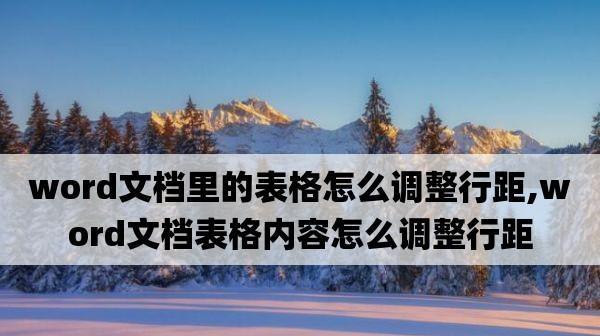 调整Word表格文字行距的技巧（如何优化文档排版，提升可读性）