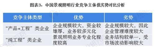 行业竞争分析（揭示行业竞争格局，找准发展方向）