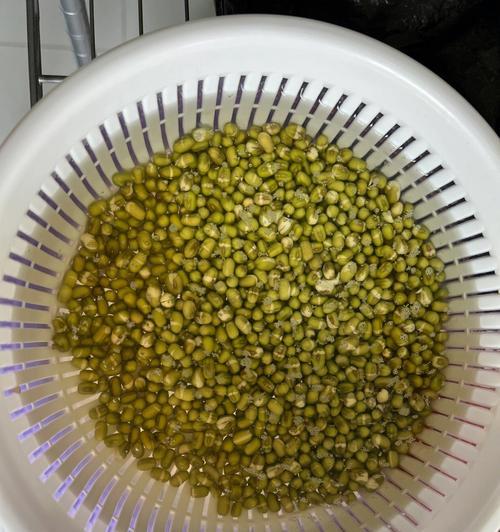 探寻绿豆沙的美味秘诀（一起来学习如何制作香甜可口的绿豆沙）