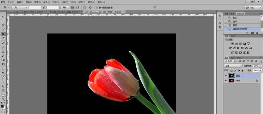 用Photoshop快速实现抠图换白底效果（打造高质量的图像处理效果）
