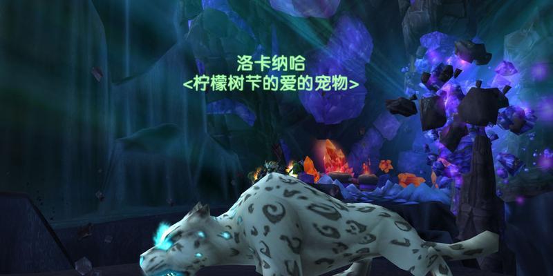9.2猎人必抓宝宝技能大揭秘（掌握这一技能）