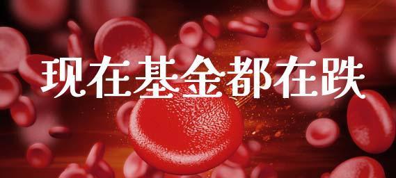 入门基金投资