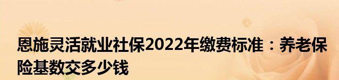 如何计算以工资养老保险（全面了解工资养老保险的计算方法与关键因素）