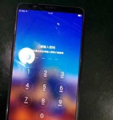 解析oppo六位密码强制解锁的方法（揭秘oppo手机密码破解技巧）