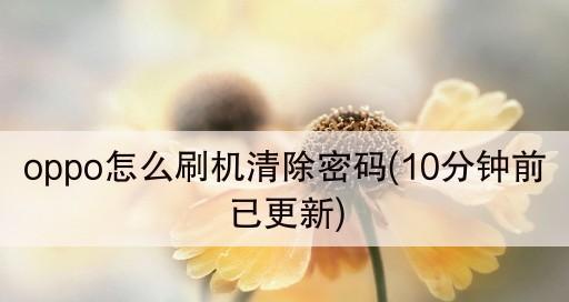 如何刷机清除oppo手机密码（解决oppo密码忘记问题的有效方法及步骤）