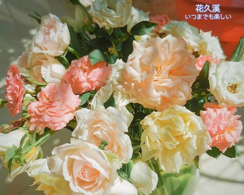 让玫瑰花保持新鲜更久的秘诀（延长鲜花寿命的方法与技巧）