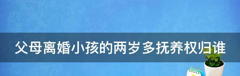 父母离婚后孩子如何适应新生活？应对策略有哪些？