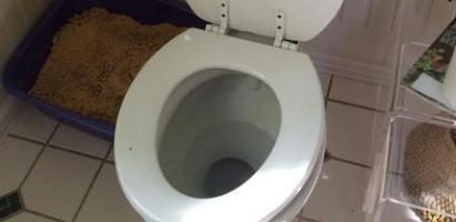 家里座便器堵了怎么办？快速解决方法有哪些？