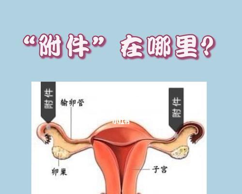 衣冠禽兽什么意思？如何识别生活中的伪君子？