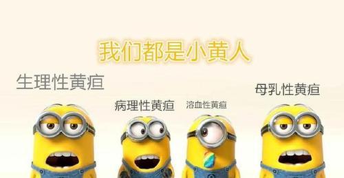 新生儿母乳性黄疸怎么判断？有哪些症状和处理方法？