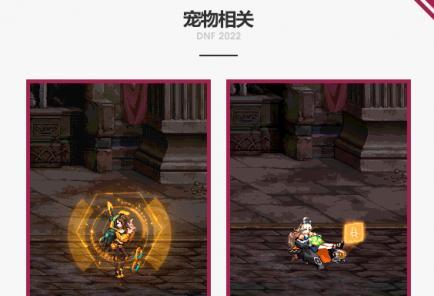 dnf可交易宠物属性有哪些？如何获取和使用？