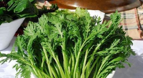 秋天适合种什么菜？有哪些蔬菜是秋季种植的最佳选择？