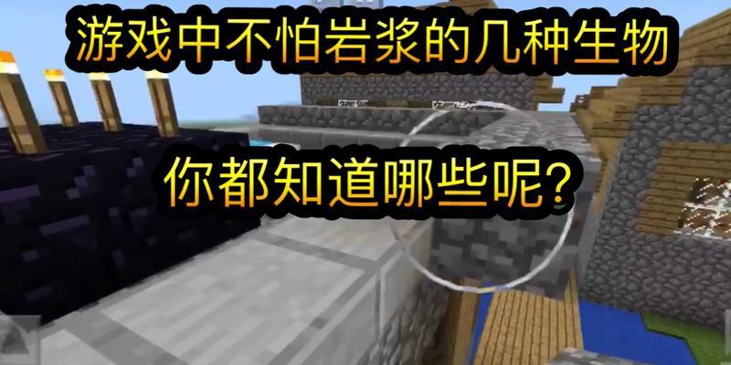 我的世界中如何从岩浆里找到龙蛋？有什么技巧吗？