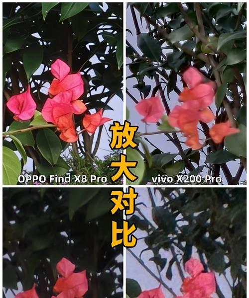 手机拍照和录像技巧有哪些？如何拍出好照片？