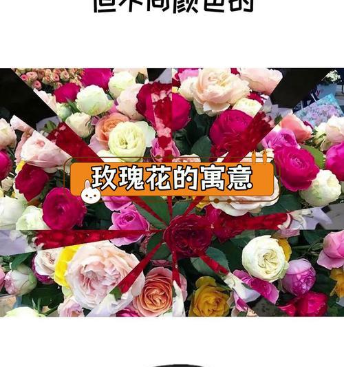 15朵玫瑰花的含义是什么？代表了哪种情感？