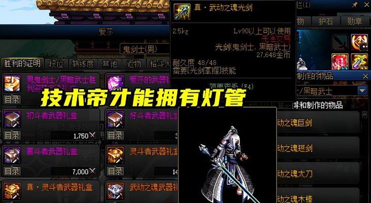 地下城泰拉石选择标准是什么？如何合理分配？