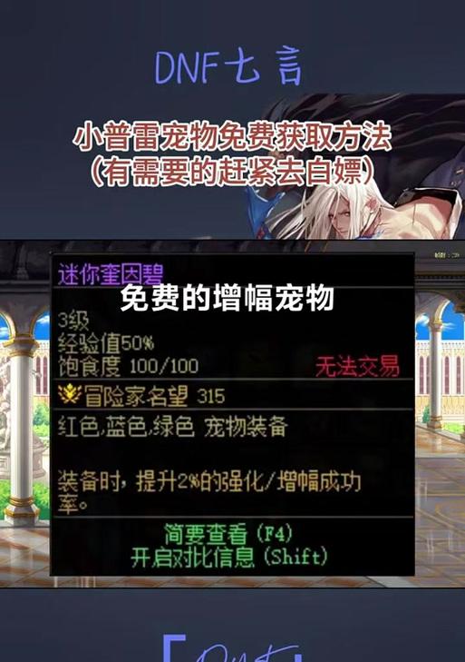dnf宠物的正确饲养方法是什么？