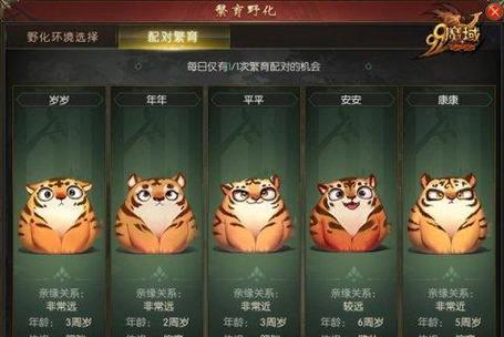 魔域年兽猫宝宝搭配技巧是什么？如何搭配更强大？