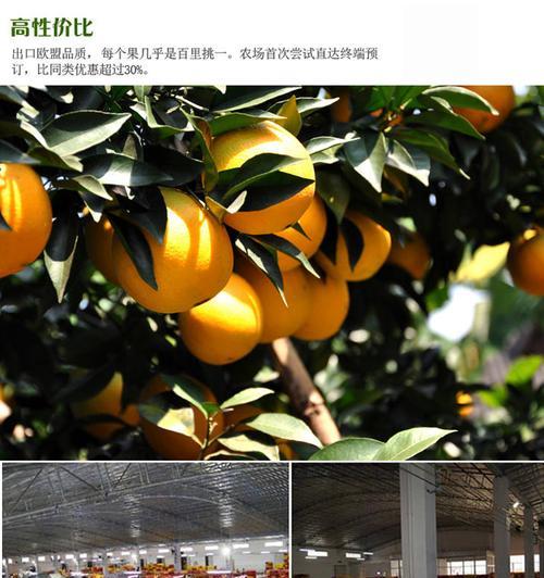贺州富川音响专卖店位置在哪里？