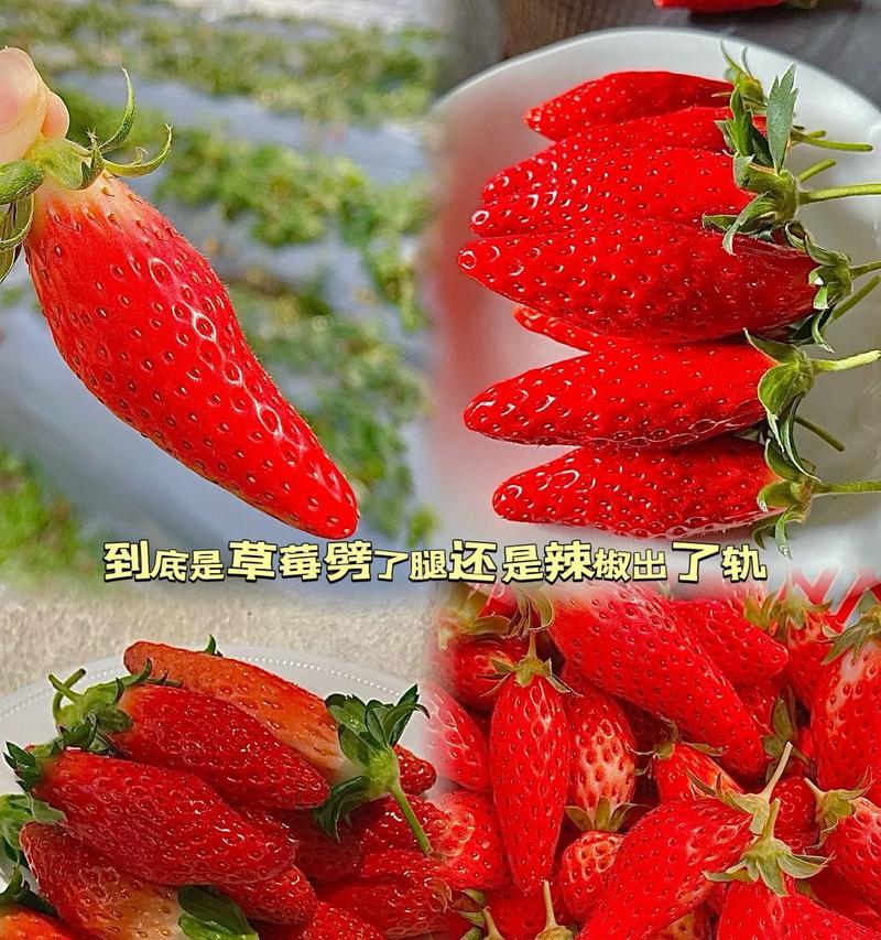 DNF突变草莓如何制作？需要哪些材料？
