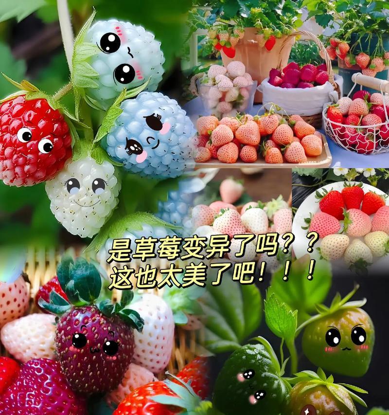 DNF突变草莓如何制作？需要哪些材料？