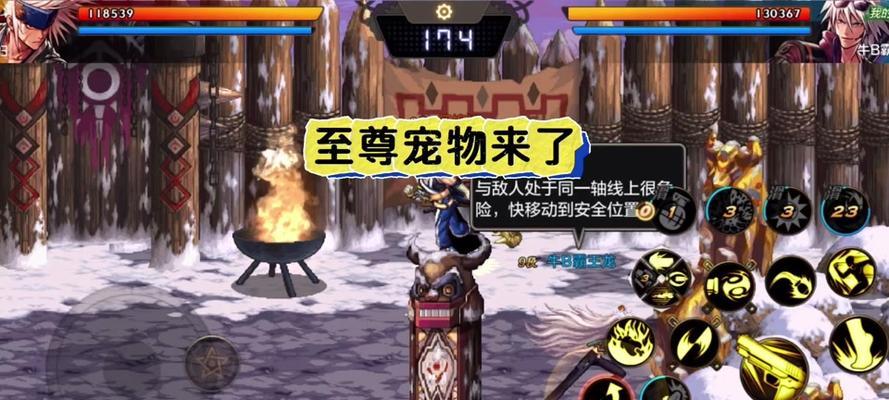 dnf游戏中带什么宠物好？宠物选择对游戏有什么影响？