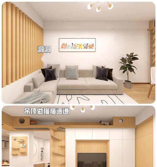 猫咪为何会破坏电视机？如何防止猫咪抓挠电视？