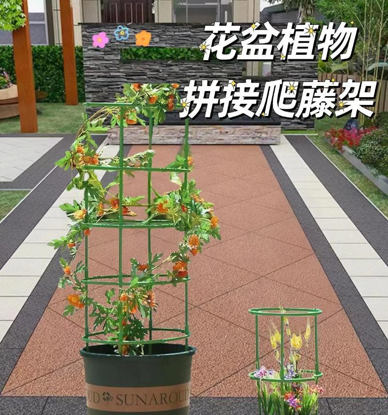 电视机两边花架适合种植哪些植物以美化环境？